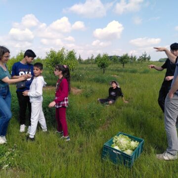 Image 16: Ackerrundgang bei der KoLa