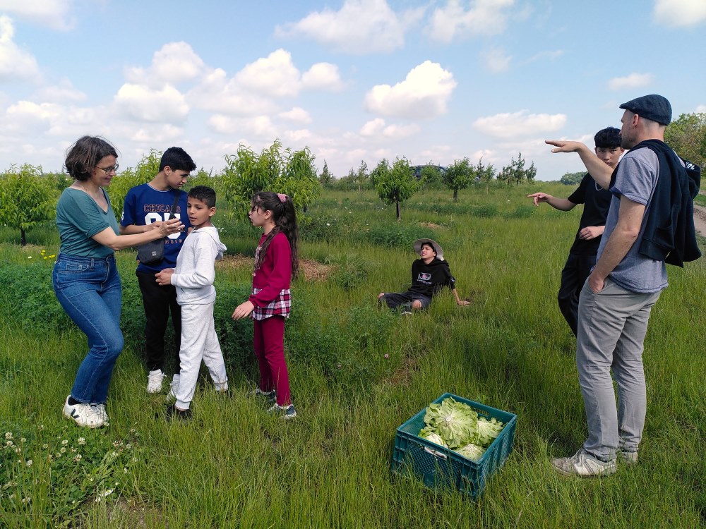 Ackerrundgang bei der KoLa