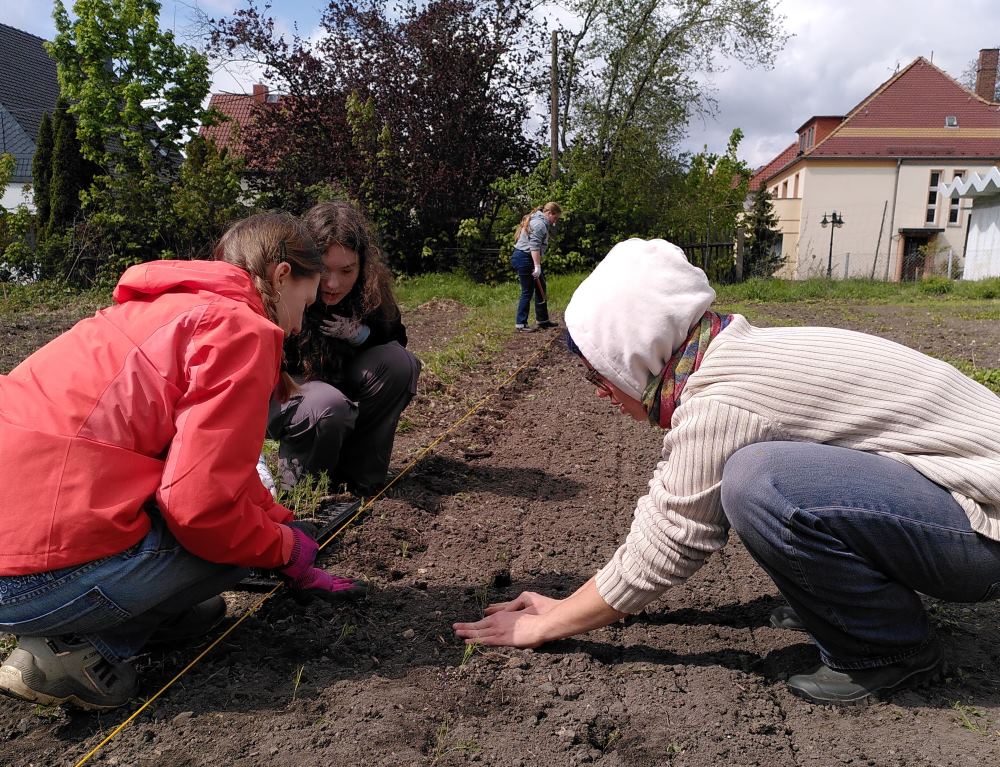 salat-pflanzen-beim-girls-day