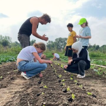 Image 7: Setzlinge pflanzen bei der Kleinen Beete